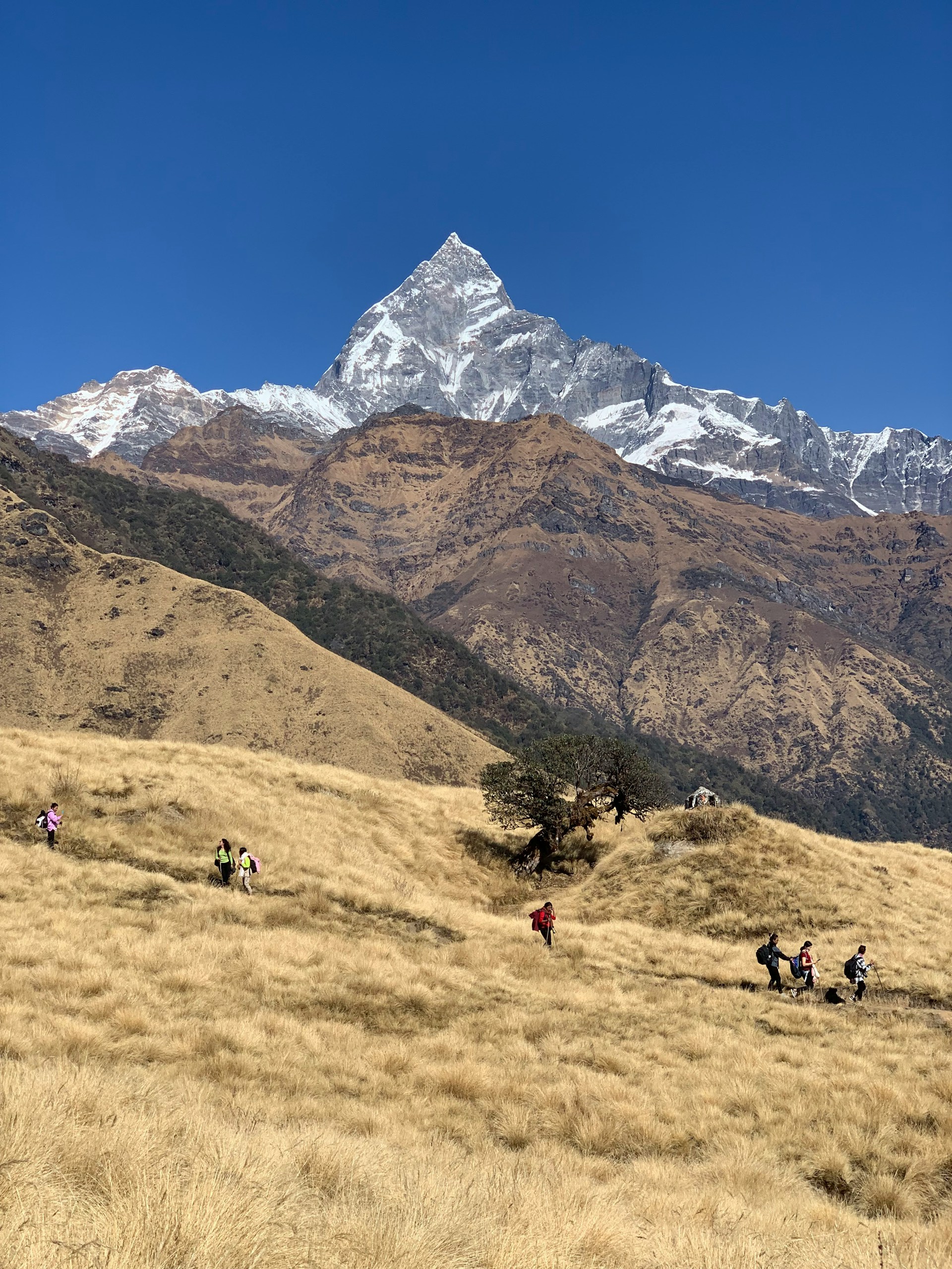 Most trekking destinations safe, but access routes still disrupted: TAAN